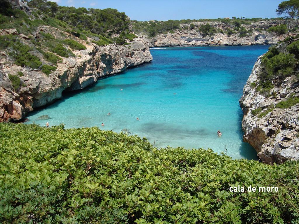Appartement Marina D Or